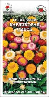 Гелихризум карликовый микс (агрони) 0,3г (однолетний)