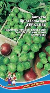 Капуста брюссельская ГЕРКУЛЕС (УД) 0,25г среднеранняя е/п 